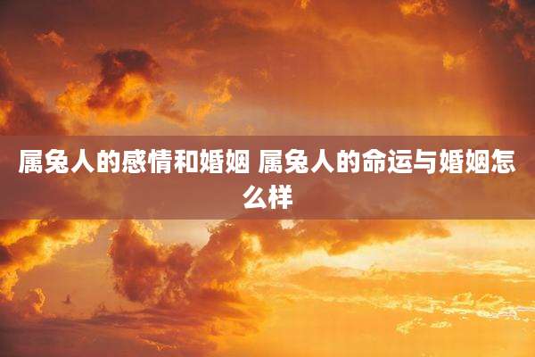 属兔人的感情和婚姻 属兔人的命运与婚姻怎么样