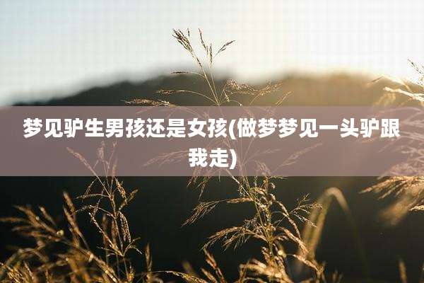 梦见驴生男孩还是女孩(做梦梦见一头驴跟我走)