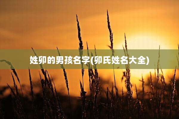 姓卯的男孩名字(卯氏姓名大全)