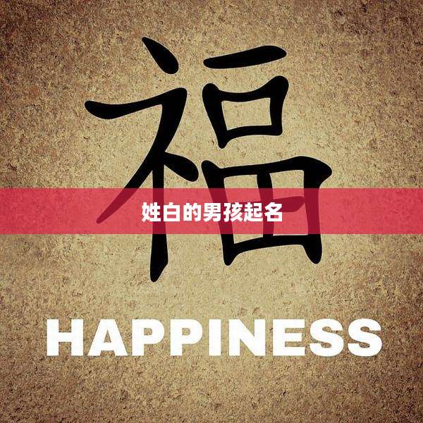 姓白的男孩起名