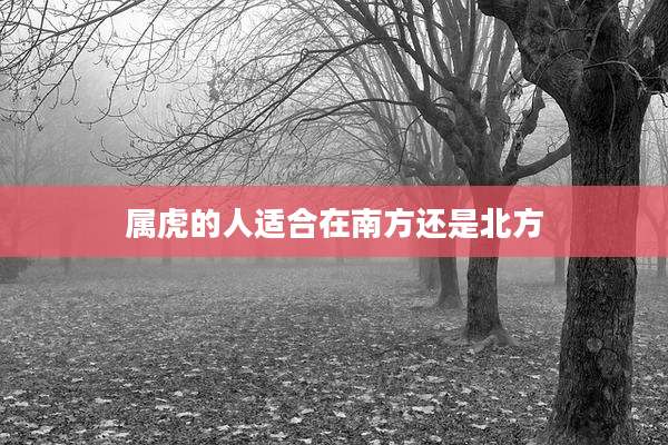 属虎的人适合在南方还是北方