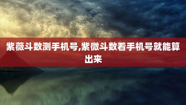 紫薇斗数测手机号,紫微斗数看手机号就能算出来