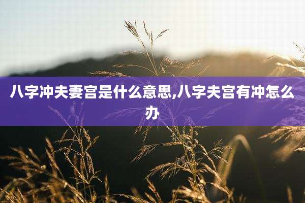 八字冲夫妻宫是什么意思,八字夫宫有冲怎么办