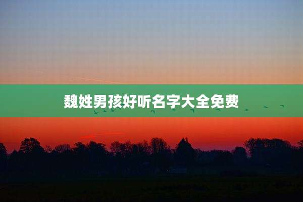 魏姓男孩好听名字大全免费