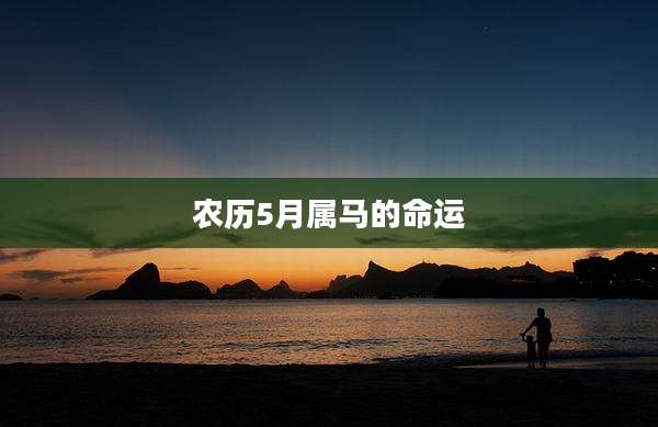 农历5月属马的命运
