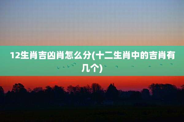 12生肖吉凶肖怎么分(十二生肖中的吉肖有几个)