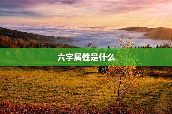六字属性是什么