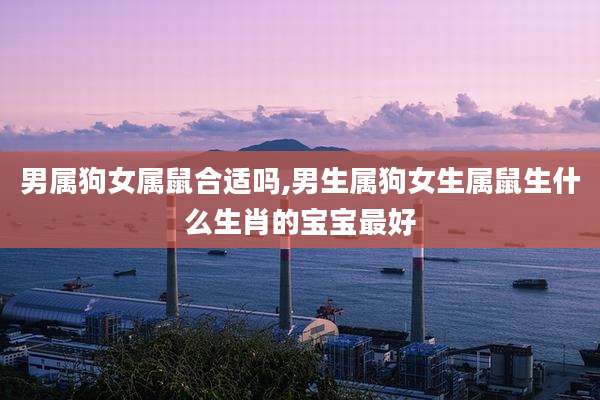 男属狗女属鼠合适吗,男生属狗女生属鼠生什么生肖的宝宝最好