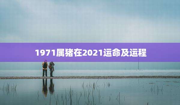 1971属猪在2021运命及运程