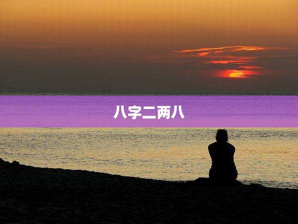 八字二两八