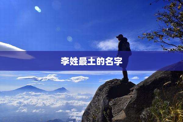 李姓最土的名字