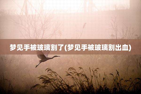 梦见手被玻璃割了(梦见手被玻璃割出血)