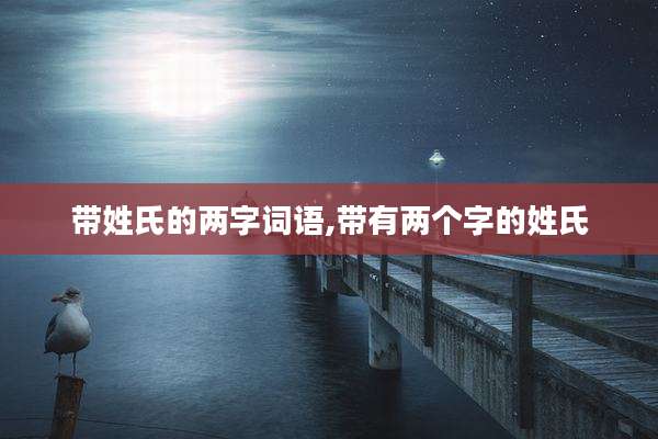 带姓氏的两字词语,带有两个字的姓氏