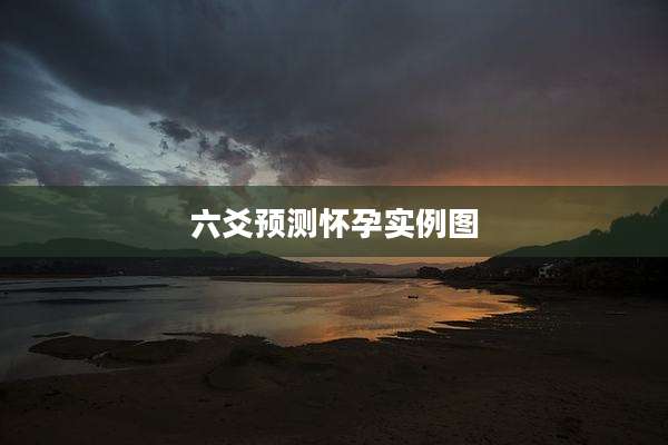 六爻预测怀孕实例图