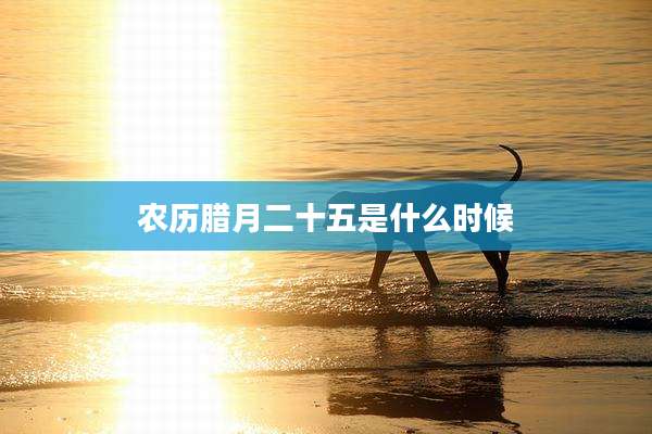 农历腊月二十五是什么时候