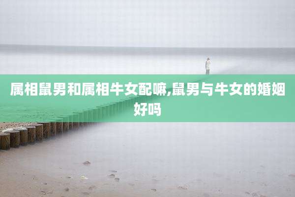 属相鼠男和属相牛女配嘛,鼠男与牛女的婚姻好吗
