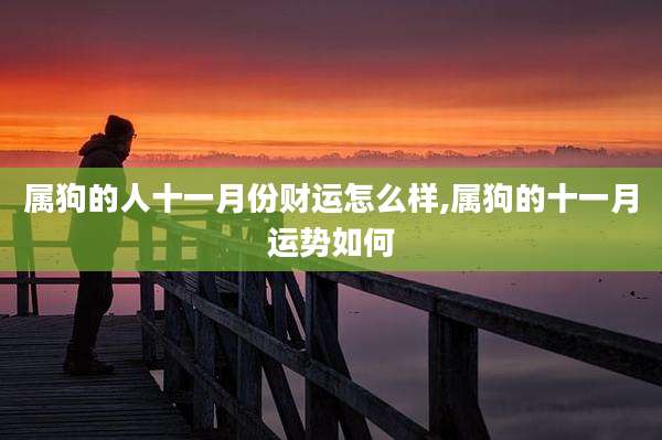 属狗的人十一月份财运怎么样,属狗的十一月运势如何