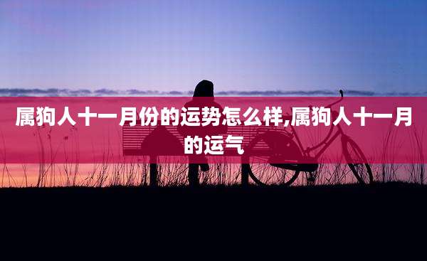 属狗人十一月份的运势怎么样,属狗人十一月的运气