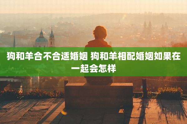 狗和羊合不合适婚姻 狗和羊相配婚姻如果在一起会怎样