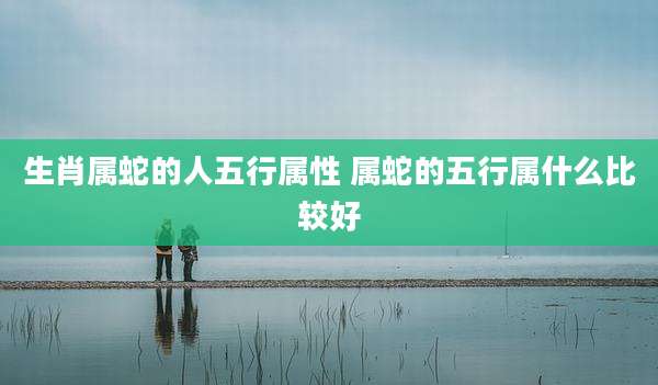 生肖属蛇的人五行属性 属蛇的五行属什么比较好