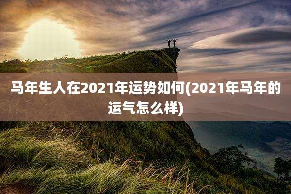 马年生人在2021年运势如何(2021年马年的运气怎么样)