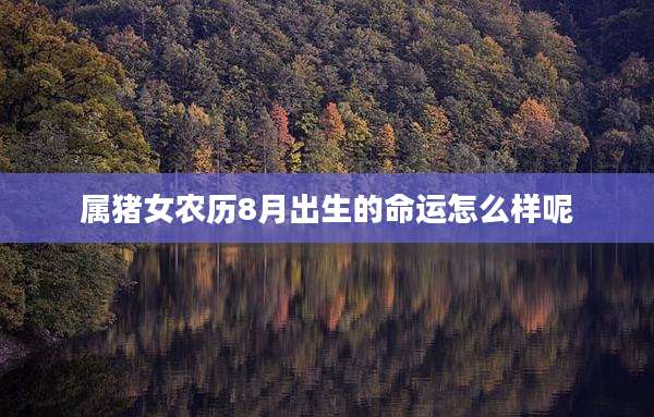 属猪女农历8月出生的命运怎么样呢