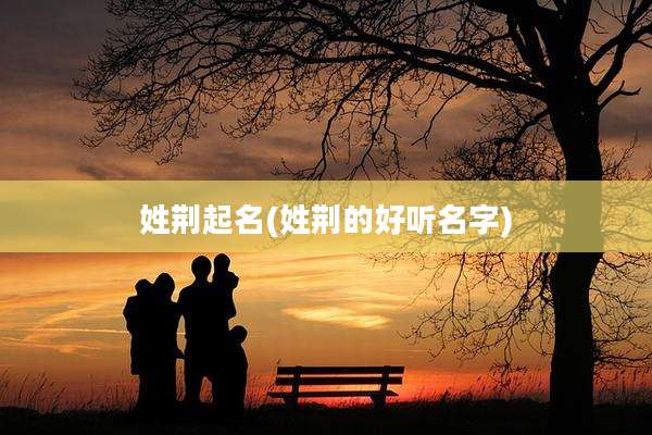 姓荆起名(姓荆的好听名字)