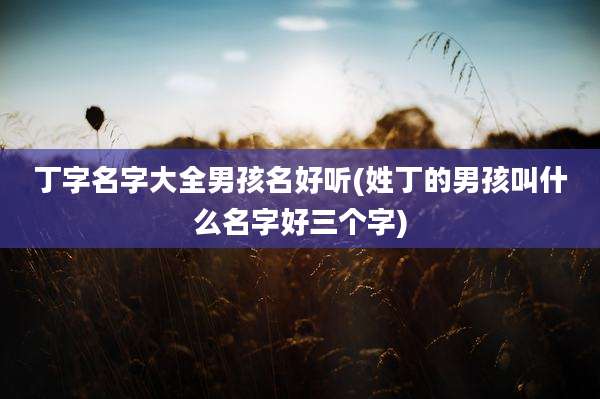 丁字名字大全男孩名好听(姓丁的男孩叫什么名字好三个字)