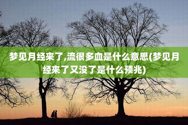 梦见月经来了,流很多血是什么意思(梦见月经来了又没了是什么预兆)