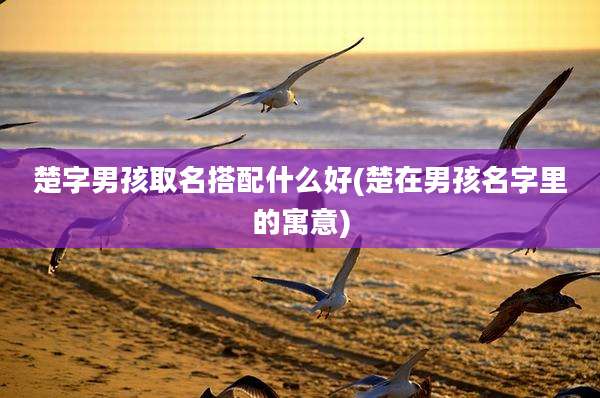 楚字男孩取名搭配什么好(楚在男孩名字里的寓意)