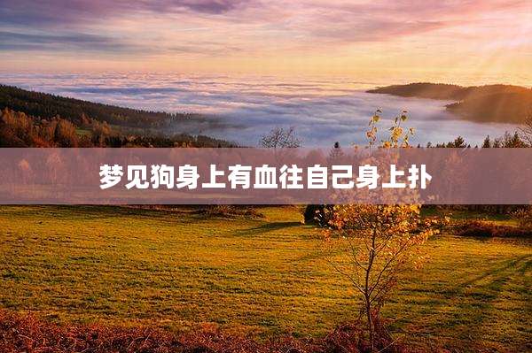 梦见狗身上有血往自己身上扑