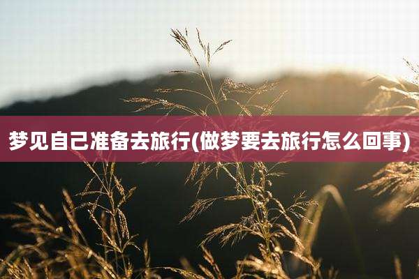 梦见自己准备去旅行(做梦要去旅行怎么回事)