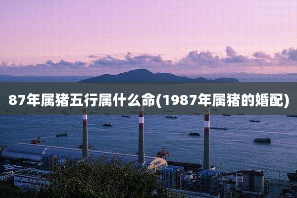 87年属猪五行属什么命(1987年属猪的婚配)