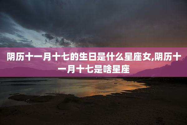 阴历十一月十七的生日是什么星座女,阴历十一月十七是啥星座