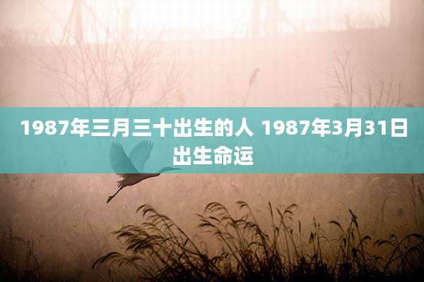 1987年三月三十出生的人 1987年3月31日出生命运