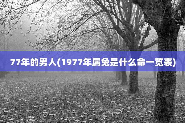 77年的男人(1977年属兔是什么命一览表)