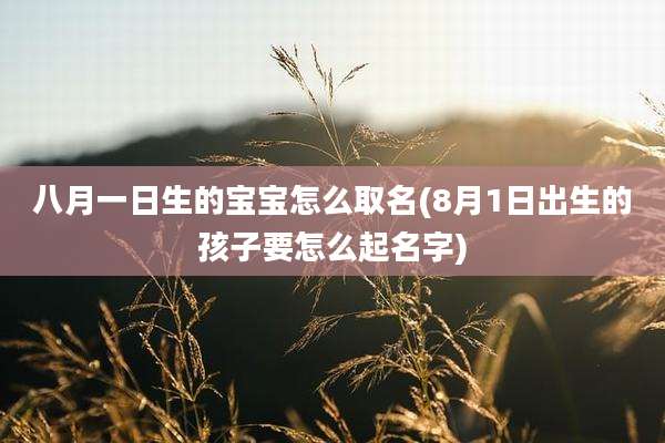 八月一日生的宝宝怎么取名(8月1日出生的孩子要怎么起名字)