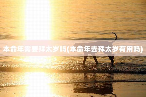 本命年需要拜太岁吗(本命年去拜太岁有用吗)