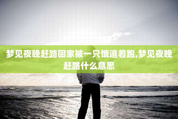 梦见夜晚赶路回家被一只饿追着跑,梦见夜晚赶路什么意思