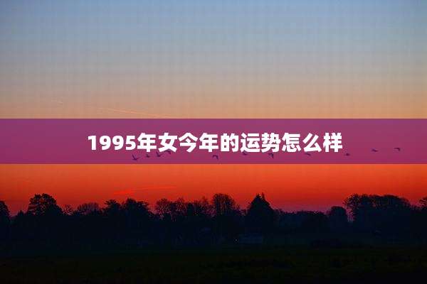 1995年女今年的运势怎么样