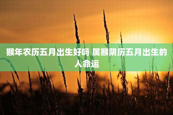 猴年农历五月出生好吗 属猴阴历五月出生的人命运