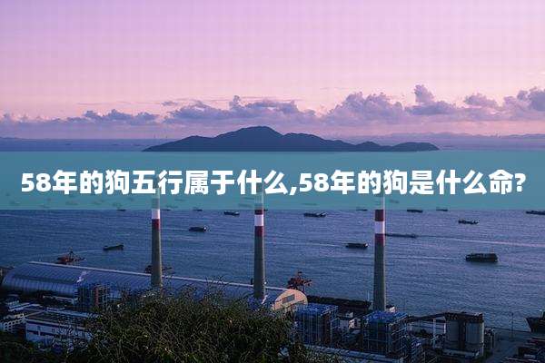 58年的狗五行属于什么,58年的狗是什么命?