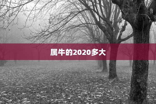 属牛的2020多大