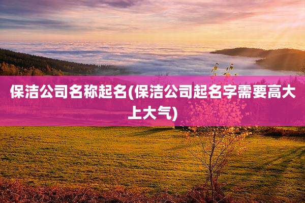 保洁公司名称起名(保洁公司起名字需要高大上大气)