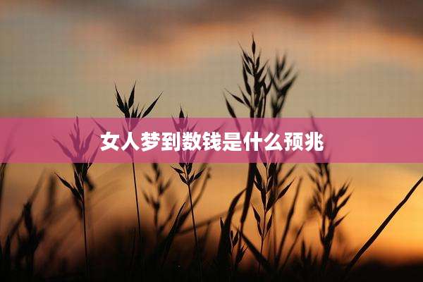 女人梦到数钱是什么预兆