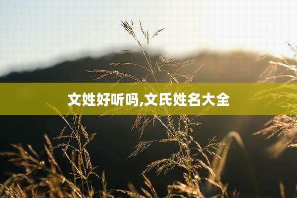 文姓好听吗,文氏姓名大全