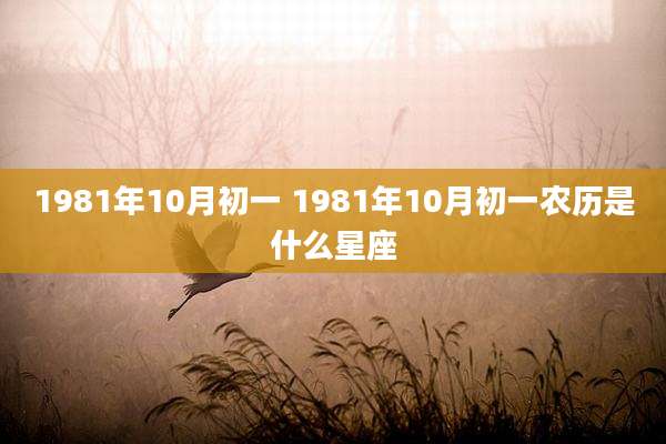 1981年10月初一 1981年10月初一农历是什么星座
