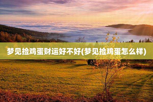 梦见捡鸡蛋财运好不好(梦见捡鸡蛋怎么样)