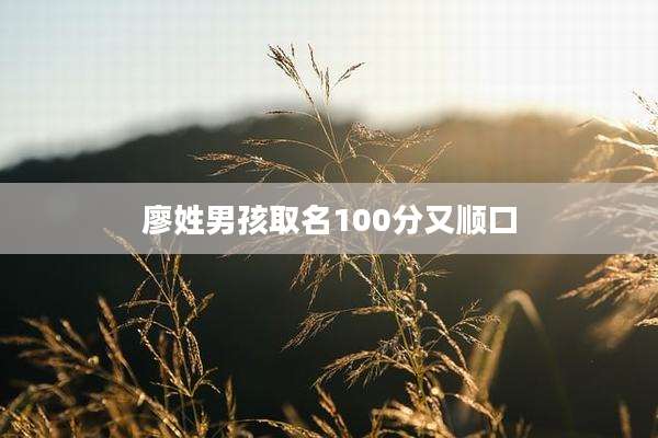 廖姓男孩取名100分又顺口