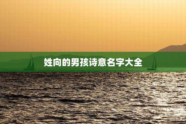 姓向的男孩诗意名字大全